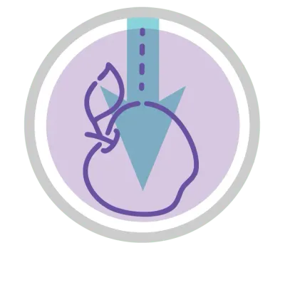 Icon_NEWTON_S_LAWS.png
