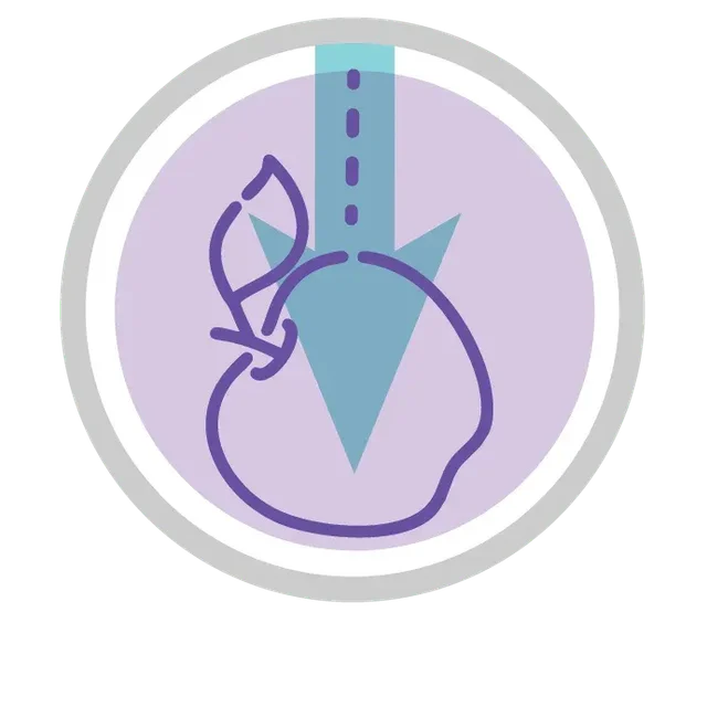 Icon_NEWTON_S_LAWS.png