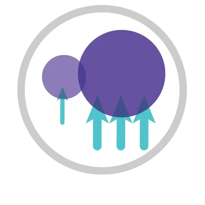 Newton's second law of motion icon