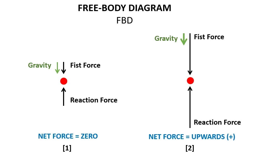 TE_n3FBD_2.png
