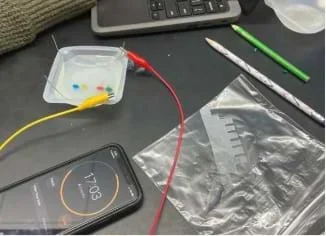 A photo showing the electrophoresis gel being run by connecting the alligator clip at the cathode (negative) end of the stainless-steel wire to the cathode end of the batteries.