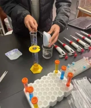 A photo showing a student adding two drops of one color of food dye to one well, for a total of four wells with four different colors.