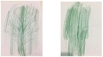 A student example of leaf etching. The leaf is etched in green.