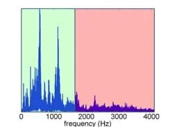A graph of a frequency spectrum showing that the low frequencies are kept (green area of the graph) and the high frequencies are removed (pink area of the graph) by a low-pass filter.