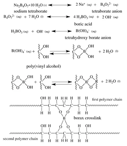 Diagram shows the mechanism through which sodium tetraborate (borax) in water produces boric acid. Through the addition of a hydroxy ion, boric acid becomes tetrahydroxy borate anion. Tetrahydroxy borate anion reacts with two hydroxyls in one polymer chain. When additional tetrahydroxy borate anions react with two hydroxyl groups in an adjacent polymer chain, a borate crosslink forms.