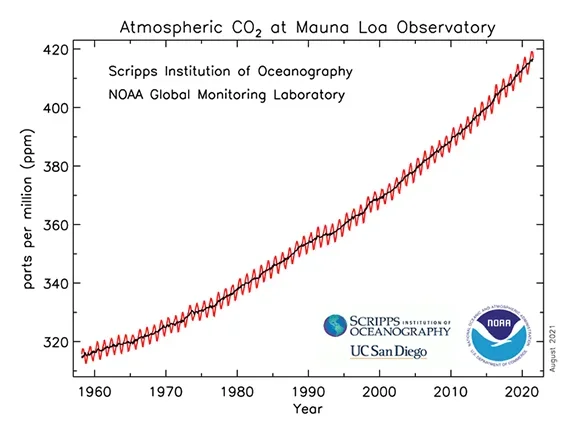 A graph showing the atmospheric CO2 at the Mauna Loa Observatory ranging from 1960-2020.
