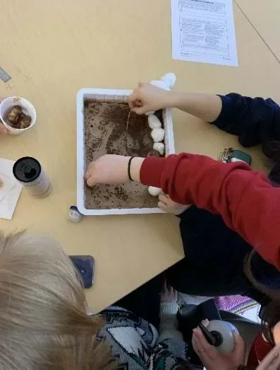 A container filled with dyed brown oil mixed in water sits on a table. Two students try to remove the dyed oil from the water by placing cotton balls on top of the liquid.