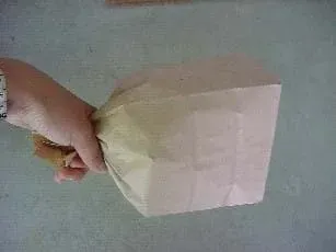Photograph of a hand holding the neck of a closed a paper bag, plump with air.