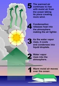 A diagram illustrates the process of water vapor rising and condensing to form clouds. Step 1: Warm moist air moves over the ocean. 2: Water vapor rises into the atmosphere. 3: As the water vapor rises, it cools and condenses into liquid droplets. 4: Condensation releases heat into the atmosphere, making the air lighter. 5: The warmed air continues to rise with moist air from the ocean taking its place, creating more wind.