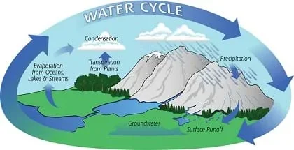 A graphic shows the water cycle with identification of evaporation, transpiration, condensation, precipitation, surface runoff and groundwater.