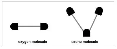 Diagram showing a gumdrop at each end of a toothpick for the oxygen molecule, and three gum drops at the ends and "V" of two toothpicks.