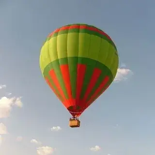 cub_airplanes_lesson01.jpg