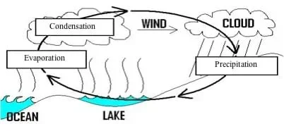 Sketch of lake, ocean, clouds, wind and rain illustrates evaporation, condensation and precipitation.