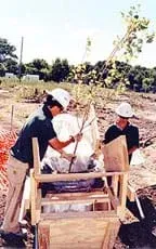 Two people with hardhats prepare to plant a young tree in soil.