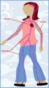 Diagram shows arteries, veins and heart of the human circulatory system superimposed on the body of a girl.