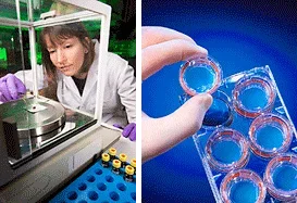 Two photos: A woman in a lab coat and gloves uses tweezers to place a sample in a lab device. A gloved hand holds one of seven clear flat vials with red rims.