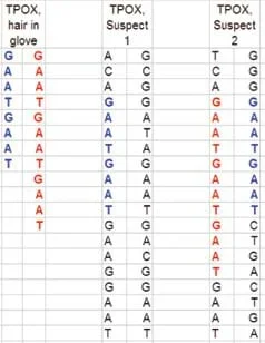 A table lists nucleotide base pair sequences in chromosomes from father and mother of three people, with the GAAT sequences in each highlighted in color.