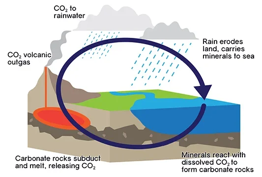 A cutaway diagram shows how carbon moves between rocks and minerals, the world's oceans, and the atmosphere.