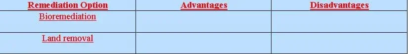 Remediation Options