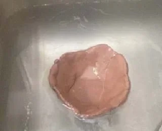 A photograph shows a piece of clay, flattened and rounded, floating in water.