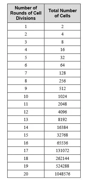 A two-column table shows the exponential growth of one cell multiplied to 1 million cells. Column headers: Number of rounds of cell divisions, and Total number of cells. After 20 rounds, the total cell count is 1,048,576.