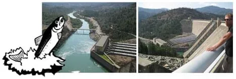 A line drawing of a jumping fish overlaps two photos that show the huge concrete structure of a dam looking upstream from below the dam, and looking downstream at a curving narrow river below the dam.
