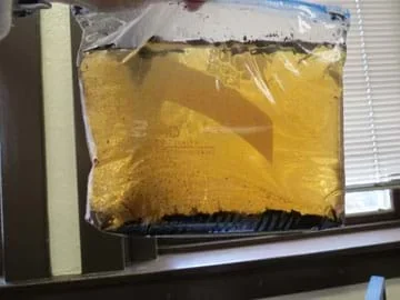 Bag of water with soil in the bottom. Water has turned a light brown color.