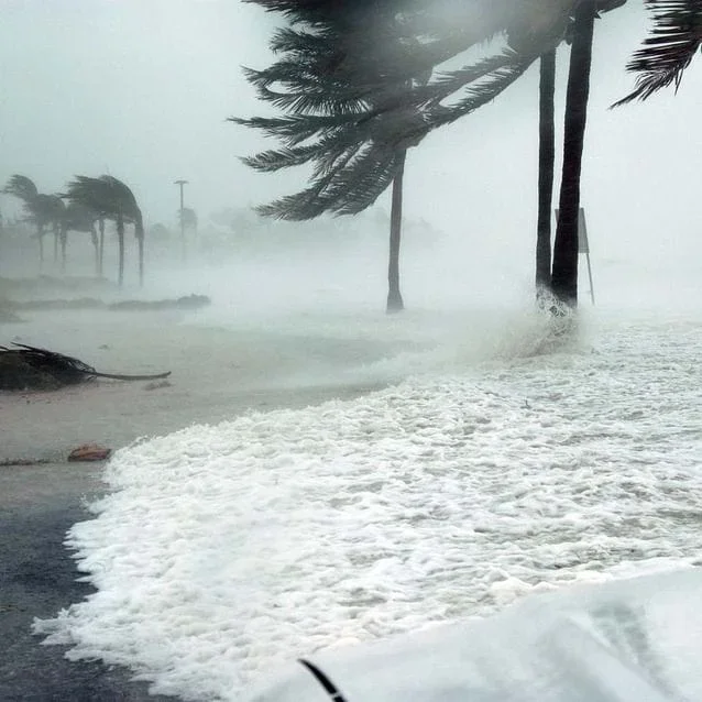 What to Wear and Drink? Weather Patterns & Climatic Regions  