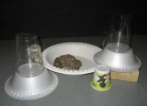 A photograph shows a paper plate, rock, wooden block, and stacked upside-down bowls and cups.
