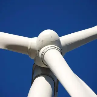 cub_energy2_lesson07_activity2.jpg