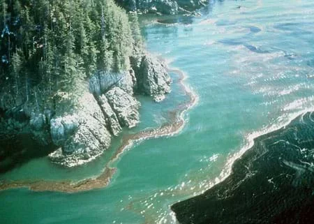 A photograph shows a dark black, very large oil slick approaching land, after the Exxon Valdez oil spill.