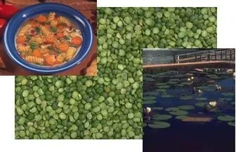 Three overlaying photographs of a bowl of soup, a grouping of peas and a pond.