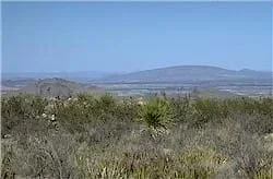 A picture of the natural Arizona landscape.