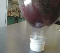 A picture of a model landfill made out of a 2-liter bottle. The bottle is resting on its neck, and the clay liner, which is spread into the rounded portion of the bottle, is shown.