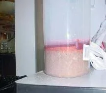 A photograph of a model contaminated aquifer. Shown is a container filled with gravel and water with red food coloring streams filtering down into the spaces between the gravel — the aquifer.