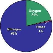 Image of a pie chart showing 21% oxygen (green), 78% nitrogen (blue), and 1% other (brown), representing the composition of the Earth's air.