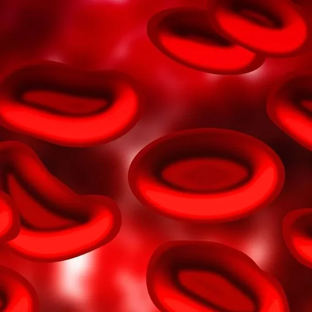 Blood Cell Basics