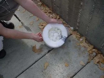 A photograph shows an unbroken egg that was dropped from ~6 ft onto a bed of foam.