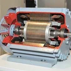 cub_mag_lesson2_activity2.jpg