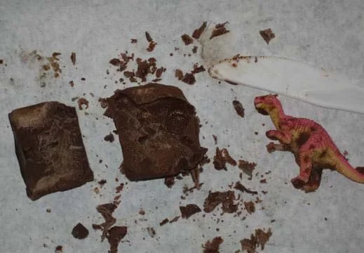 Photo shows a chunk of chocolate with the imprint of a plastic toy dinosaur in it.