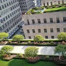 cub_rooftop_lesson01.jpg
