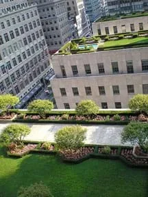 Aerial photo shows grass, trees, flowers and a walkway covering the top of a skyscraper, with two other rooftop gardens on nearby skyscraper roofs.