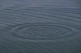 Photograph of ripples on a pond.