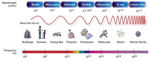 A drawing shows a range of wavelengths (radio, microwave, infrared, visible, ultraviolet, x-ray and gamma ray), their size and frequency, as well as wavelength size examples (buildings, humans, honey bee, pin point, protozoans, molecules, atoms, atomic nuclei).