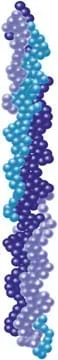 A computer-generated graphic shows a collection of balls in three shades of blue, representing molecules, arranged into three strands that are twisted around each other into a long, rope-like helical structure.