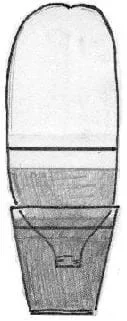 A sketch shows a 2-liter bottle inverted with its neck in a container of water. The water level in the inverted bottle is below a marked line on the bottle.