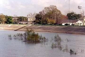 The Mississippi River levee at Gretna, Louisiana. The image shows high water on the Mississippi covering plants along the river side of the levee; the levee protects the town of Gretna from flooding.