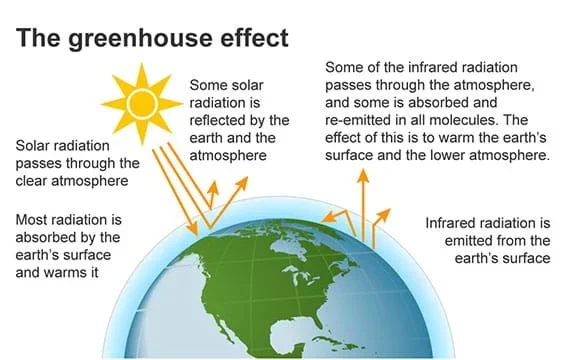 A diagram shows energy from the Sun hitting the Earth. Some solar radiation is absorbed, some is reflected, and some is re-emitted back to the Earth by greenhouse gas molecules.