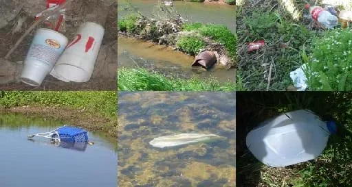 Six photos shows different kinds of trash: Styrofoam cups in some dirt, flowing waters with metal corrugated piping in view, plastic package and polyethylene drink bottle in grass and bushes, blue plastic shopping cart half submerged in stream, plastic bag stretched out along rocky stream bottom and stretched in the flow, and plastic milk jug.