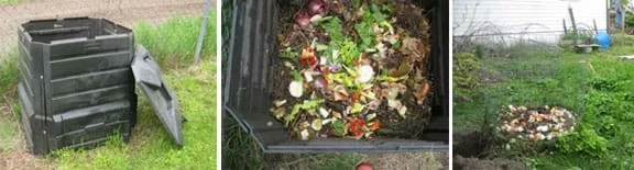 Three photos: 1) a ~3 x 3-ft black plastic bin with a lid, 2) looking into the bin to see a pile of vegetable trimmings and leaves, and 3) a pile of vegetable trimmings and egg shells inside a 3-ft high circular hoop of open wire mesh Three photos: 1) a ~3 x 3-ft black plastic bin with a lid, 2) looking into the bin to see a pile of vegetable trimmings and leaves, and 3) a pile of vegetable trimmings and egg shells inside a 3-ft high circular hoop of open wire mesh in a grassy backyard. in a grassy backyard.